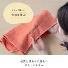 名入れ 刺繍 今治タオル フェイスタオル［33 × 85cm］