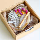 Deep Cleanse Aurora Pink Shell Plate set
