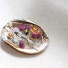 Deep Cleanse Aurora Pink Shell Plate set