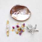 Deep Cleanse Aurora Pink Shell Plate set
