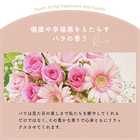 【送料無料】バラ10本と季節のお祝いアレンジメント （リボン付き）