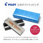 名入れ PILOT パイロット S20 エストゥエンティ