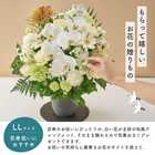 【送料無料】祝!百寿「白」100歳LL〜オーキッド〜【5月2日〜5月19日お届け不可】