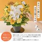【送料無料】祝!傘寿「黄」80歳LL〜オーキッド〜【5月2日〜5月19日お届け不可】