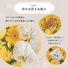 【送料無料】祝!傘寿「黄」80歳LL〜オーキッド〜【5月2日〜5月19日お届け不可】