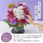 【送料無料】祝!古希「紫」70歳LL〜オーキッド〜【5月2日〜5月19日お届け不可】