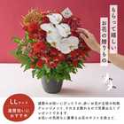 【送料無料】祝!還暦「紅」60歳LL〜オーキッド〜【5月2日〜5月19日お届け不可】
