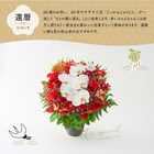 【送料無料】祝!還暦「紅」60歳LL〜オーキッド〜【5月2日〜5月19日お届け不可】