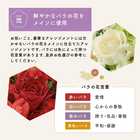 【早割】【敬老の日限定】 アレンジメント 豪華Mサイズ