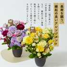 【早割】【9月7日12：00まで】【敬老の日】 アレンジメント 豪華Mサイズ