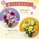 【早割】【9月7日12：00まで】【敬老の日】 アレンジメント 豪華Mサイズ