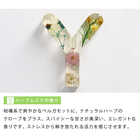 Boute[ボウテ] イニシャルフレグランスディフューザーセット