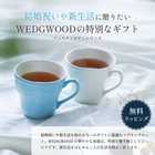 WEDGWOODペアマグカップ 2個セット フェスティビティシリーズ [食洗器OK]
