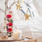 【クリスマス限定】Christmas toilette