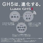 【推奨品】パナソニック DC-GH5M2H LUMIX GH5 II ミラーレス一眼カメラ 10倍ズームレンズキット