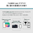 パナソニック DC-S9-S フルサイズ ミラーレスカメラ ボディのみ LUMIX ダークシルバー DCS9S