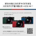 パナソニック DC-S9-S フルサイズ ミラーレスカメラ ボディのみ LUMIX ダークシルバー DCS9S