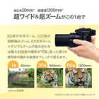 【推奨品】パナソニック DC-FZ85D-K コンパクトデジタルカメラ LUMIX ブラック