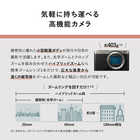 パナソニック DC-S9N-S S9 広角ズームレンズキット ミラーレス一眼カメラ LUMIX ダークシルバー