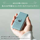 名入れ モバイルバッテリー 5000mAh [両面印刷対応/急速充電/Type-C]