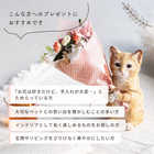 置くだけ空気清浄 ミニペットブーケ[CT触媒]