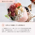 置くだけ空気清浄 ミニペットブーケ[CT触媒]