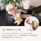 置くだけ空気清浄 ミニペットブーケ[CT触媒]