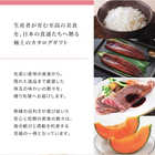 [リンベル カタログギフト]美味百撰 李（すもも） [冊子タイプ]