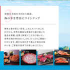 [リンベル カタログギフト]美味百撰 李（すもも） [冊子タイプ]