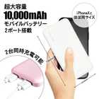 RIC-STYLE スマートバッテリー L ホワイト