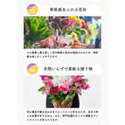 【プロ技光る】季節感あふれるフラワーギフトL
