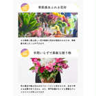 【プロ技光る】季節感あふれるフラワーギフトL