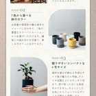 ガジュマル4号サイズ 選べる鉢のギフトセット