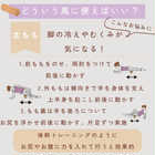 スリエット Sliet フォームローラー