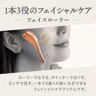 WTB フェイスローラー