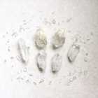 Deep Cleanse Aurora Pink Shell Plate set