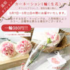 ウェッジウッド 紅茶 36P アソート ギフトセット