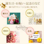 ウェッジウッド 紅茶 36P アソート ギフトセット