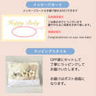 お花モチーフヘアバンド&マルチホルダー ボタニカル柄 スワドル 3点入り