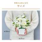 【送料無料】メモリアルアレンジメントS 線香セット(供花)