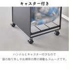 【 2分別 】蓋付き目隠し分別ダストワゴン