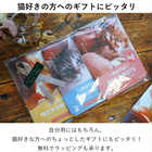 motto! NEKOMOTE(モット!ネコモテ) バスパウダー 3Pセット