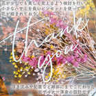 ブーケと花びらのThank youメッセージカード