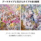 ブーケと花びらのThank youメッセージカード