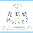 光触媒フェイクグリーン