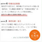 光触媒フェイクグリーン