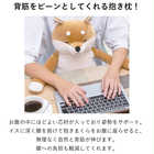 背筋ピーン抱きまくら