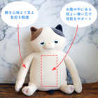 背筋ピーン抱きまくら