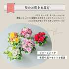 【送料無料】フラワーギフト　カラフルガーデンフラワーアレンジメント　Sサイズ
