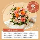 【送料無料】フラワーギフト　カラフルガーデンフラワーアレンジメント　Mサイズ